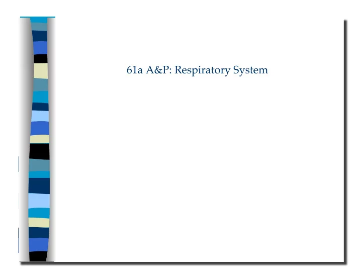 61a a amp p respiratory system 61a a amp p respiratory