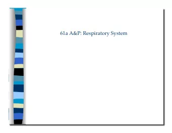 61a A&amp;P: Respiratory System  61a A&amp;P: Respiratory System   Class Outline  5 minutes