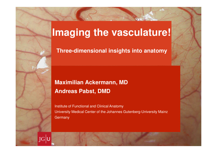 imaging the vasculature