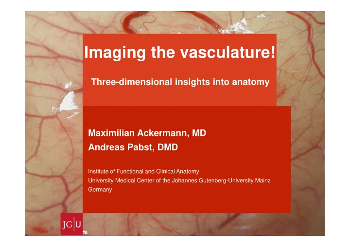 imaging the vasculature