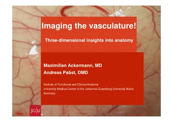 Imaging the vasculature!  Three-dimensional insights into anatomy  Maximilian Ackermann, MD