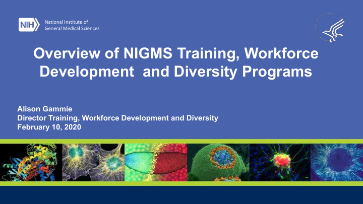 overview of nigms training workforce development and