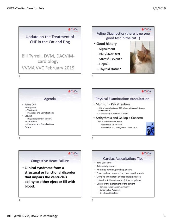 bill tyrrell dvm dacvim