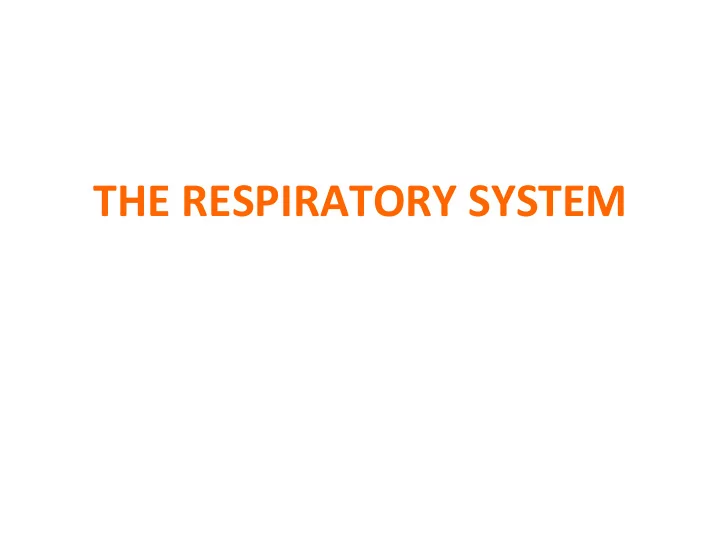 the respiratory system