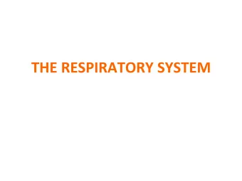 THE RESPIRATORY SYSTEM  THE RESPIRATORY SYSTEM  VISCERA OF THORACIC CAVITY  VISCERA OF THORACIC