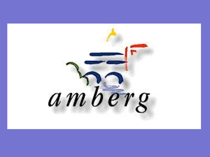 facts about amberg