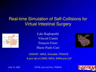 Real-time Simulation of Self-Collisions for  Virtual Intestinal Surgery  Laks Raghupathi  Vincent