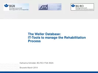 Process  Katharina Scheidet, BG RCI/ FSA/ BGN  Brussels March 2019 Accidents BG RCI  absolute