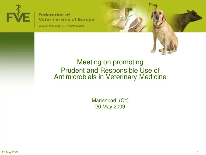 meeting on promoting prudent and responsible use of