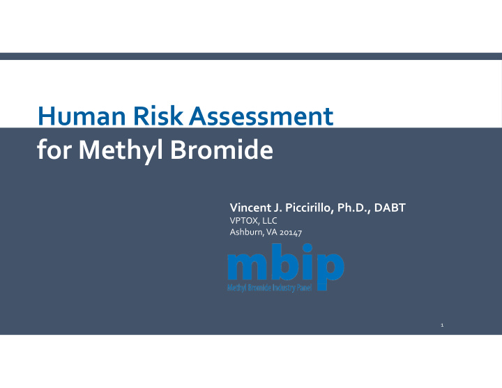 human risk assessment for methyl bromide