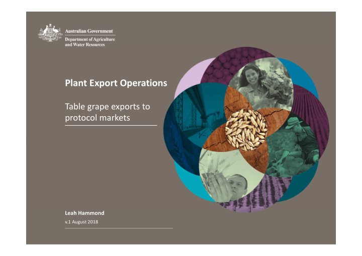 plant export operations