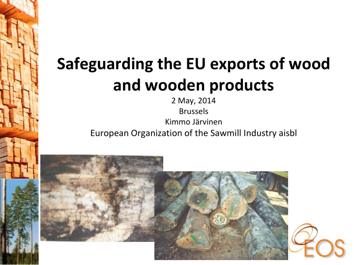safeguarding the eu exports of wood and wooden products