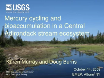 bioaccumulation in a Central  Adirondack stream ecosystem  Karen Murray and Doug Burns  October 14,