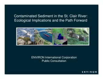 Contaminated Sediment in the St. Clair River:  Ecological Implications and the Path Forward