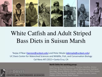 White Catfish and Adult Striped  Bass Diets in Suisun Marsh  Teejay ORear (taorear@ucdavis.edu)