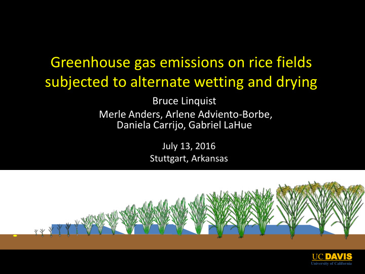 greenhouse gas emissions on rice fields