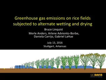 Greenhouse gas emissions on rice fields  Water seeded  subjected to alternate wetting and drying