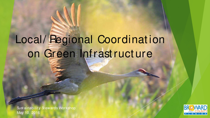 local regional coordination on green infrastructure