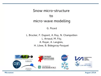 S  n  o  w  m  i  c  r  o  -  s  t  r  u  c  t  u  r  e  t  o  m  i  c  r  o  -  w  a  v  e  m  o