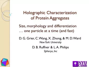 Holographic Characterization  of Protein Aggregates  Size, morphology and differentiation   one