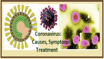 DR RAJ THAKARE  MBBS MBA PGDHA  REGIONAL MEDICAL  SUPRINTENDENT u Coronaviruses are a large family