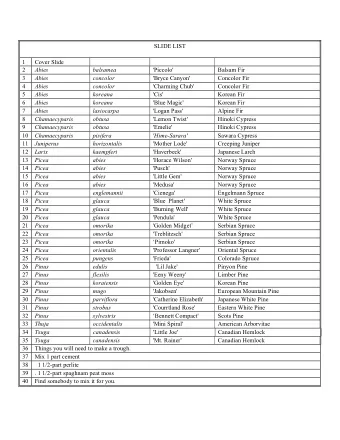 SLIDE LIST  1  Cover Slide  2  Abies  balsamea  'Piccolo'  Balsam Fir  3  Abies  concolor  'Bryce