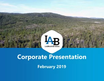 Corporate Presentation  February 2019  1  TSX-V: LAB| www.labradorgold.com  Disclaimer  Statements