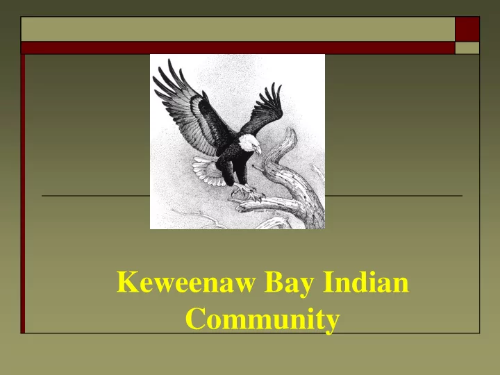 community amd environmental issues