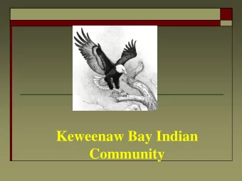 Community AMD Environmental Issues   Underground and Surface  Mining of Sulfide Minerals  Chuck