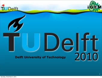 Delft University of Technology  1  Saturday, November 6, 2010  1  TU Delft iGEM 2010  2  Saturday,