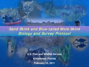 San  Sand  d Sk  Skink an  and  d Blue-t ailed Mole Skink  Biol  olog  ogy and Survey Prot  ot oc