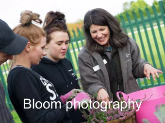 Bloom photography    Photography tips    What to photograph    Editing and using images