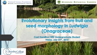 Introduction  The plant family Onagraceae is  divided into two subfamilies,  Ludwigioideae, with