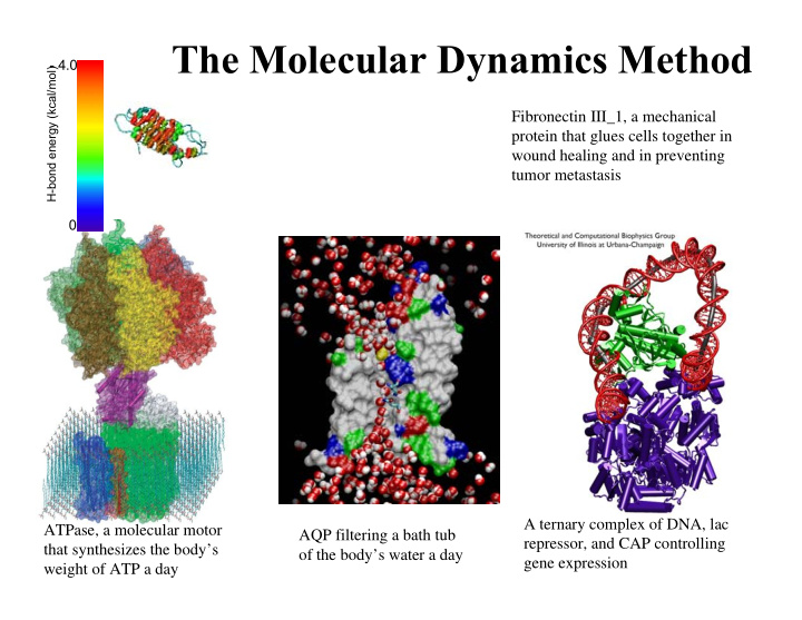 the molecular dynamics method