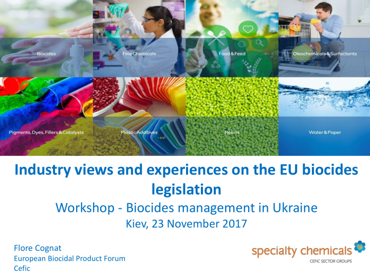 industry views and experiences on the eu biocides