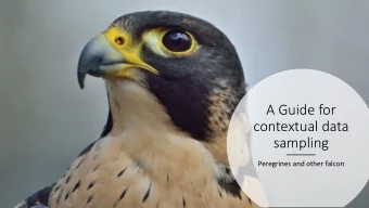 contextual data  sampling  Peregrines and other falcon  Introduction  STSM Holder  Lucie Michel,