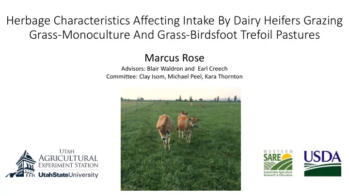 herbage characteristics affecting intake by dairy heifers