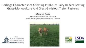 Herbage Characteristics Affecting Intake By Dairy Heifers Grazing  Grass-Monoculture And