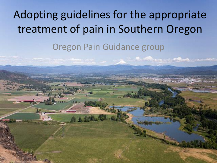 adopting guidelines for the appropriate treatment of pain