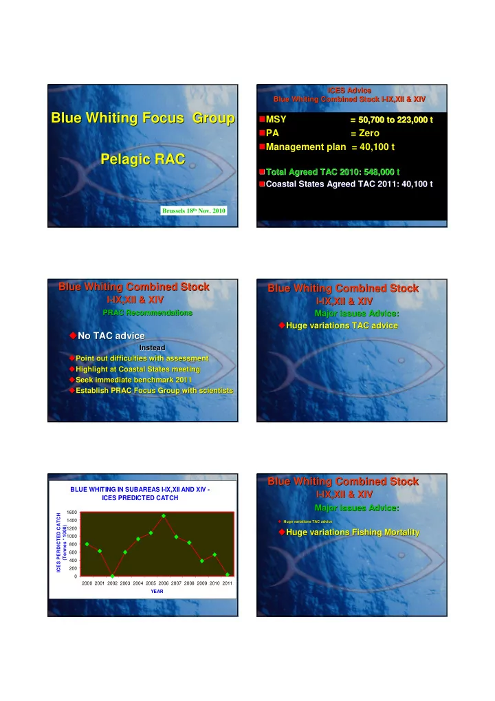 blue whiting focus group blue whiting focus group