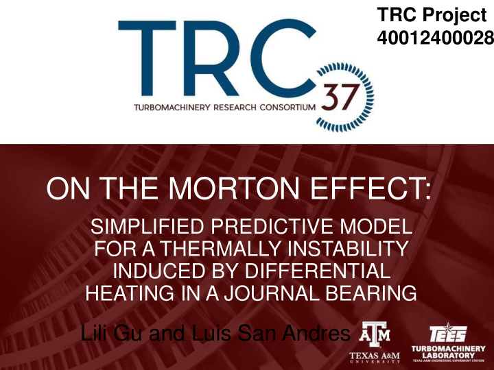 on the morton effect