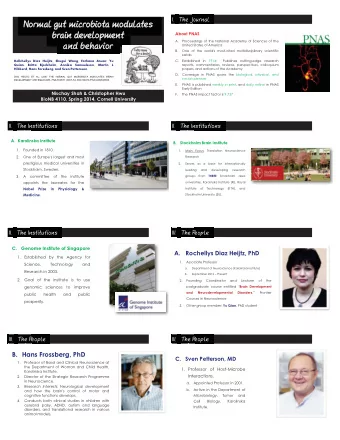 brain development  ra  ra  rain developmen  About PNAS  A.  Proceedings of the National Academy of