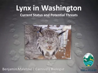 Lynx in Washington  Current Status and Potential Threats  Benjamin Maletzke | Carnivore Biologist