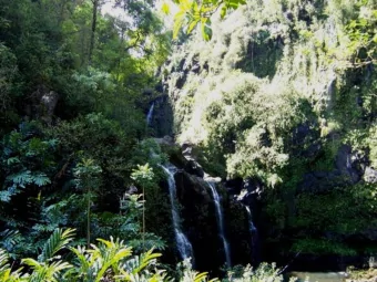 1  OSHA Standards  WWW.OSHA.GOV  2  OSHA base 1926.21 B (2) The employer shall instruct each