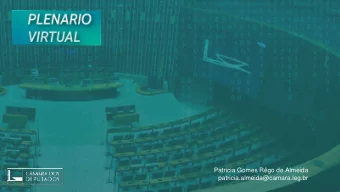 Patricia Gomes Rgo de Almeida  patricia.almeida@camara.leg.br  Brazilian House of Representatives