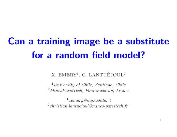 can a training image be a substitute for a random field