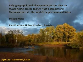 Parahucho perryi  the worlds largest salmonid fishes  Steven Weiss  Karl-Franzens University