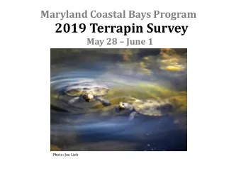 2019 Terrapin Survey May 28  June 1  Photo: Joe Lieb  Maryland Coastal Bays Program  As a
