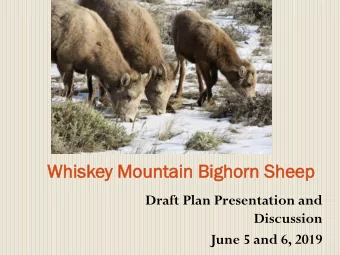 Wh  Whis  iskey  y Mou  ounta  ntain  in Bi  Bighorn  orn Sheep  eep  Draft Plan Presentation and