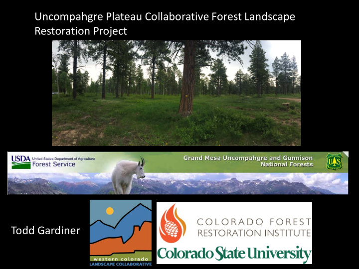 uncompahgre plateau collaborative forest landscape